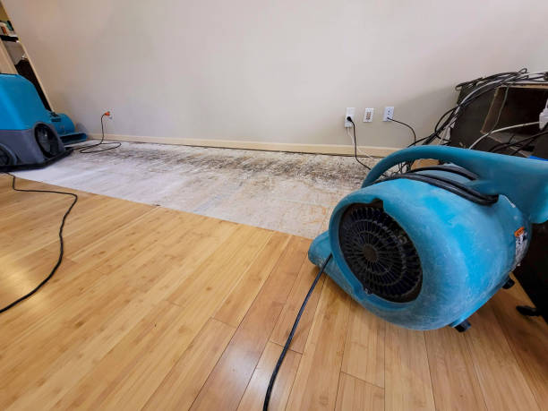 Professional Ceiling Water Damage Repair technician working in Fair Haven, NY